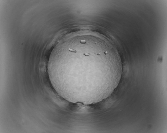 X0000110680379200906261326