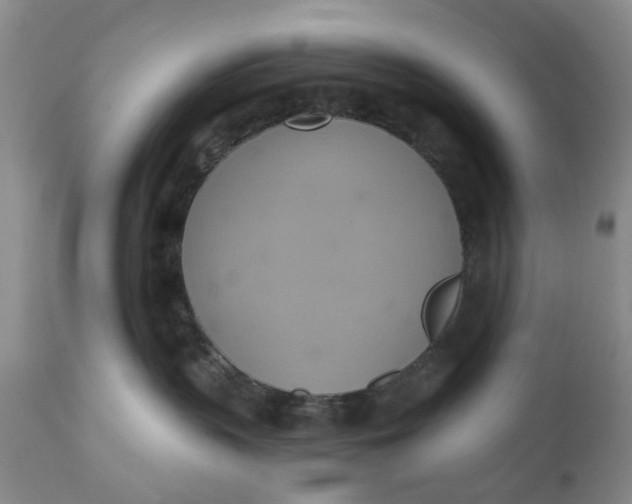 X0000110680383200906261326