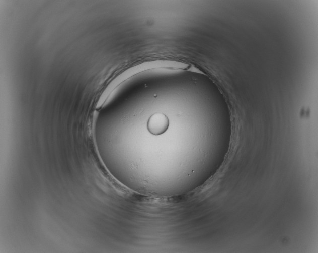 X0000110680384200906261326