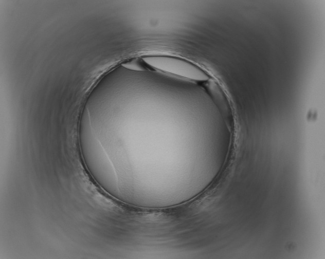 X0000110680385200906261325