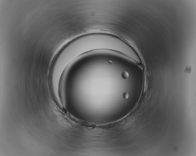 X0000110680387200906261325