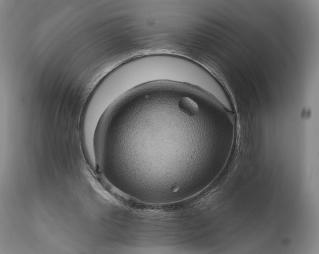 X0000110680389200906261325