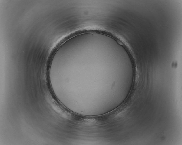 X0000110680391200906261325