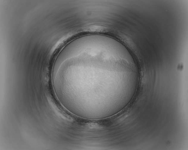 X0000110680392200906261325