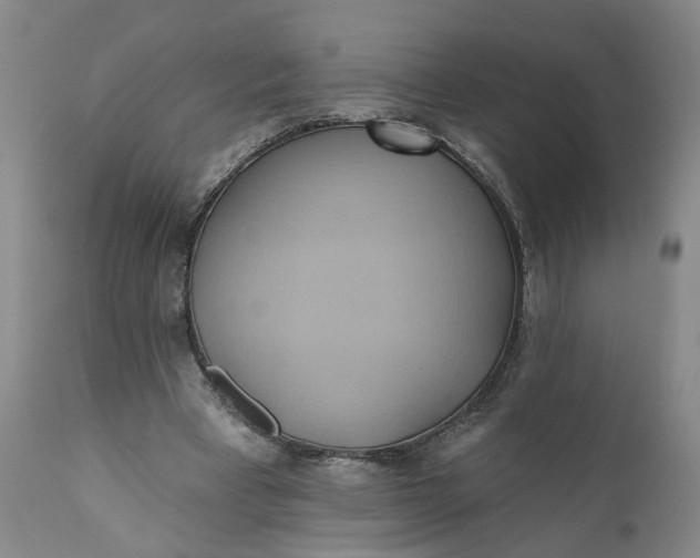 X0000110680393200906261325