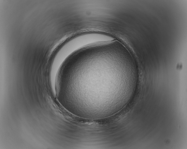 X0000110680395200906261325