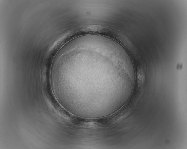 X0000110680396200906261325