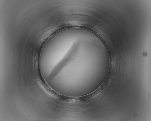 X0000110680398200906261325