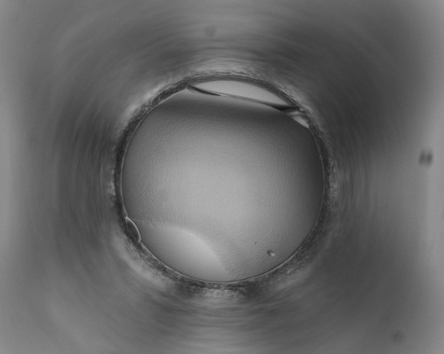 X0000110680399200906261325