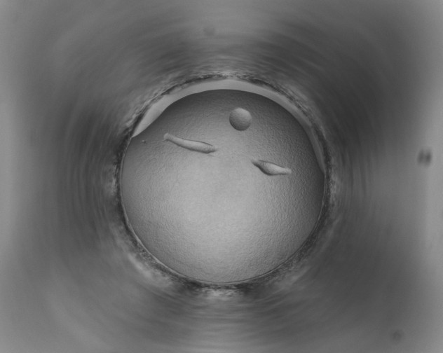 X0000110680401200906261325