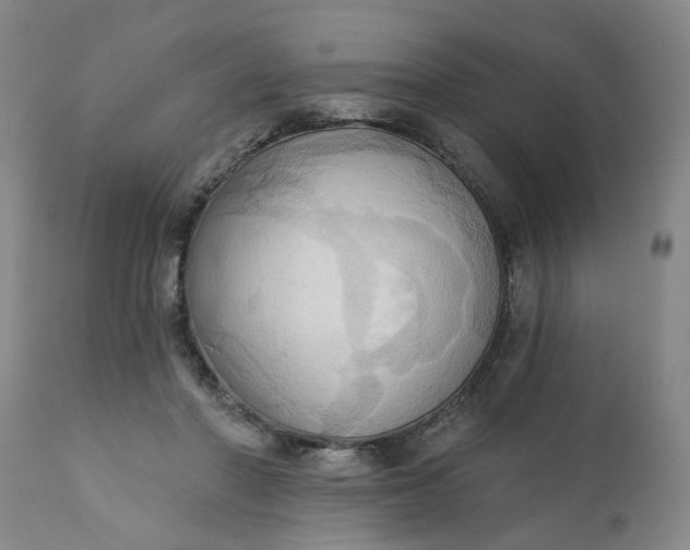 X0000110680406200906261325