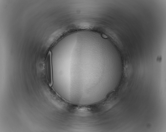 X0000110680407200906261325