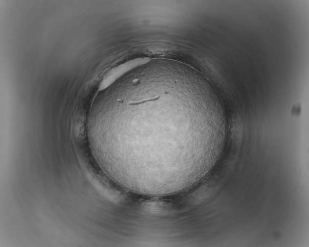 X0000110680408200906261325