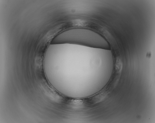 X0000110680409200906261325