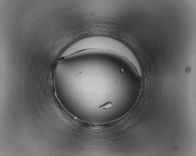 X0000110680411200906261325