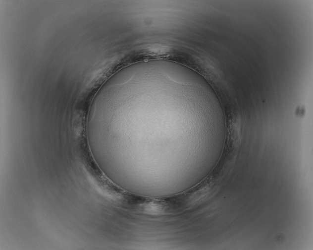 X0000110680412200906261325