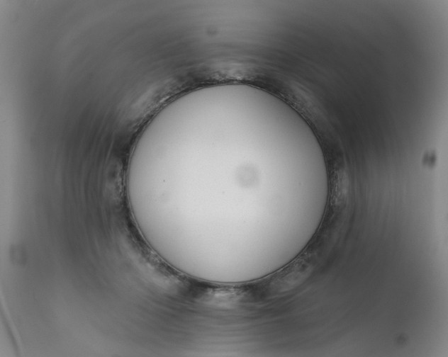 X0000110680414200906261325