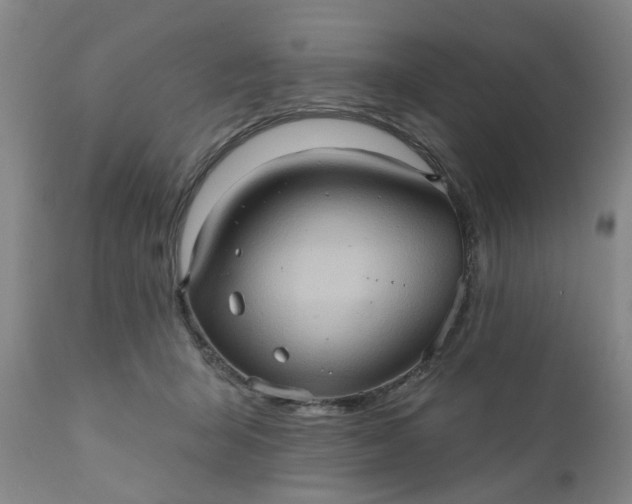 X0000110680415200906261325