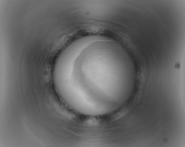 X0000110680416200906261325