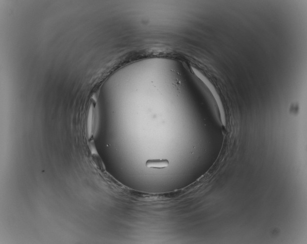 X0000110680417200906261325