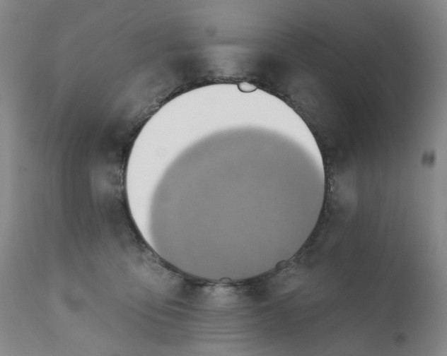 X0000110680419200906261325