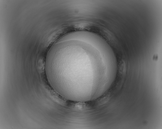 X0000110680420200906261325