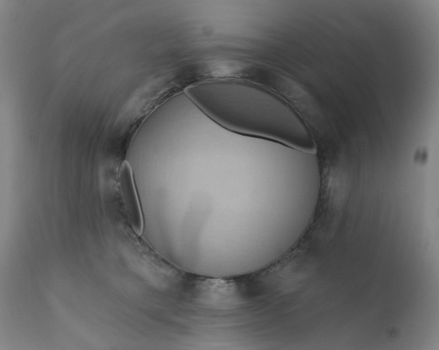 X0000110680421200906261325