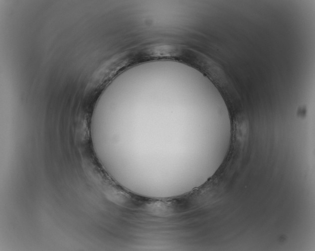 X0000110680422200906261325