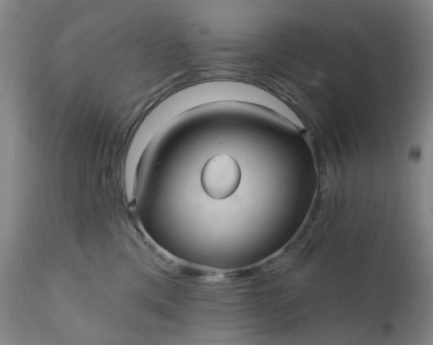 X0000110680425200906261325