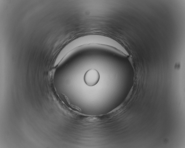 X0000110680427200906261325