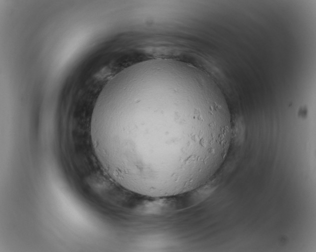 X0000110680430200906261325