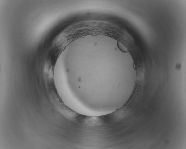 X0000110680431200906261325