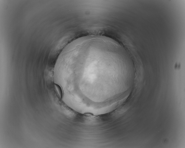 X0000110680432200906261325