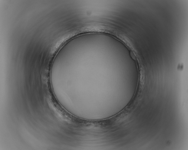 X0000110680434200906261324