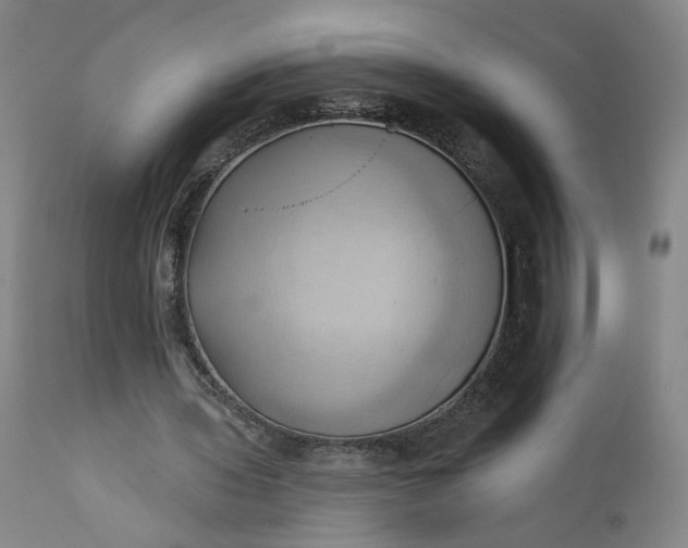 X0000110680435200906261324