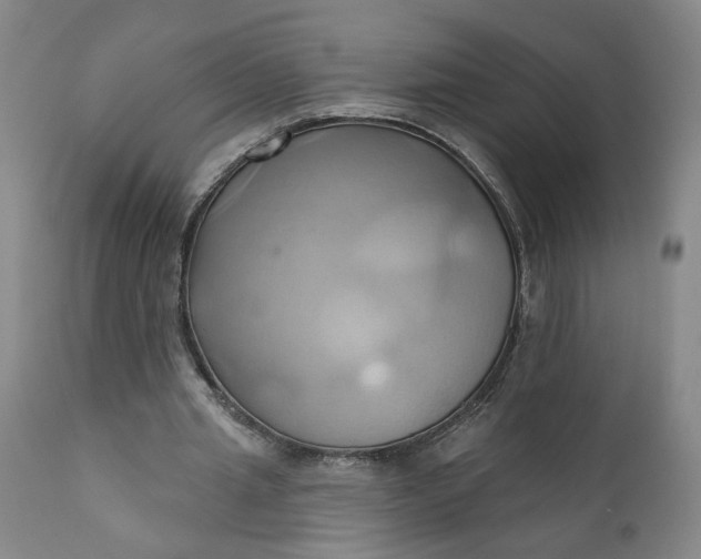 X0000110680437200906261324