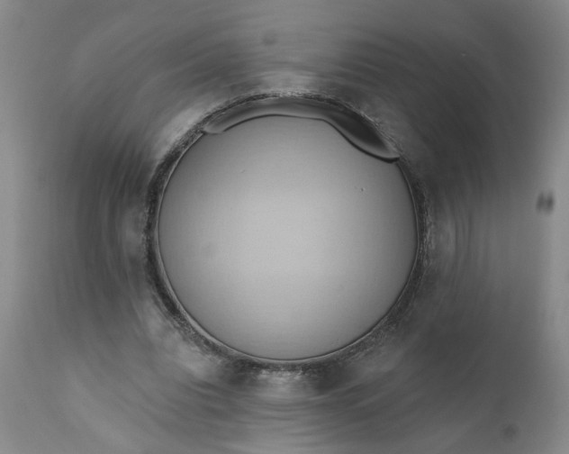 X0000110680440200906261324