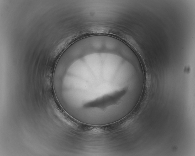 X0000110680441200906261324