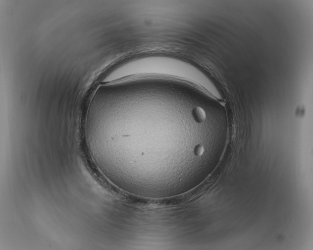 X0000110680444200906261324