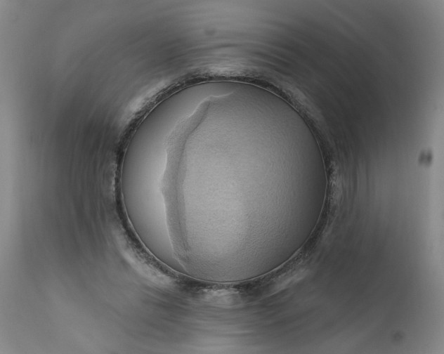 X0000110680446200906261324