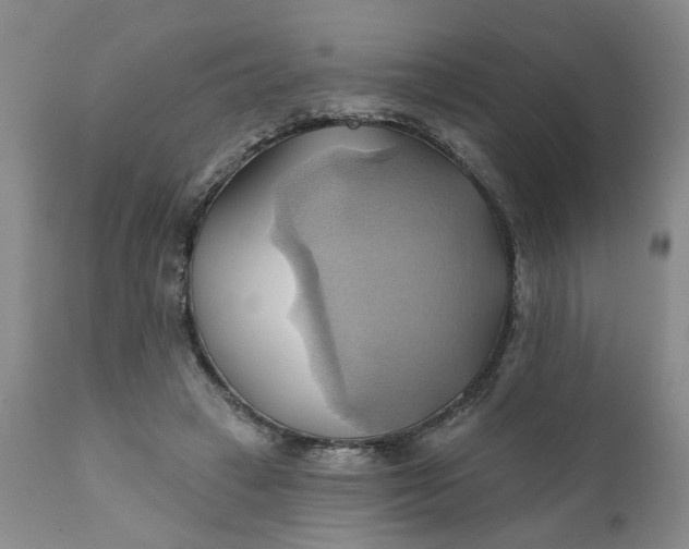 X0000110680449200906261324