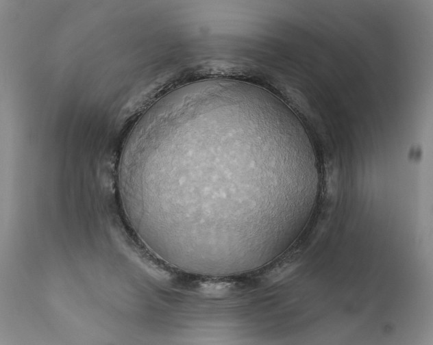 X0000110680450200906261324