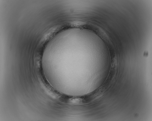 X0000110680452200906261324