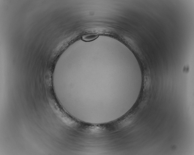 X0000110680453200906261324