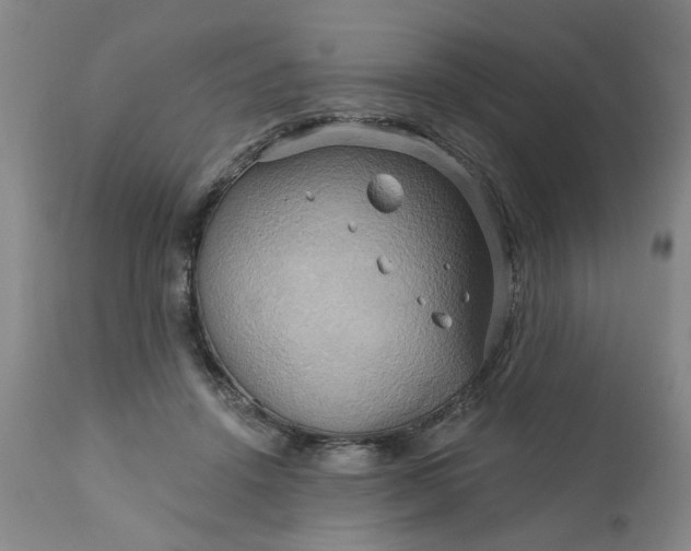 X0000110680456200906261324