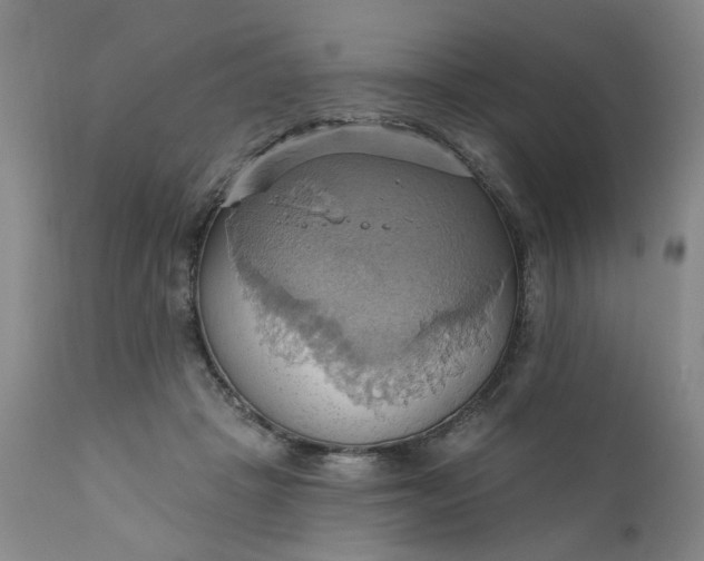 X0000110680457200906261324