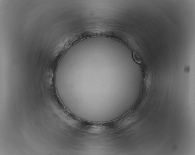 X0000110680458200906261324