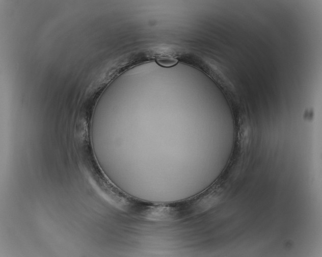 X0000110680459200906261324