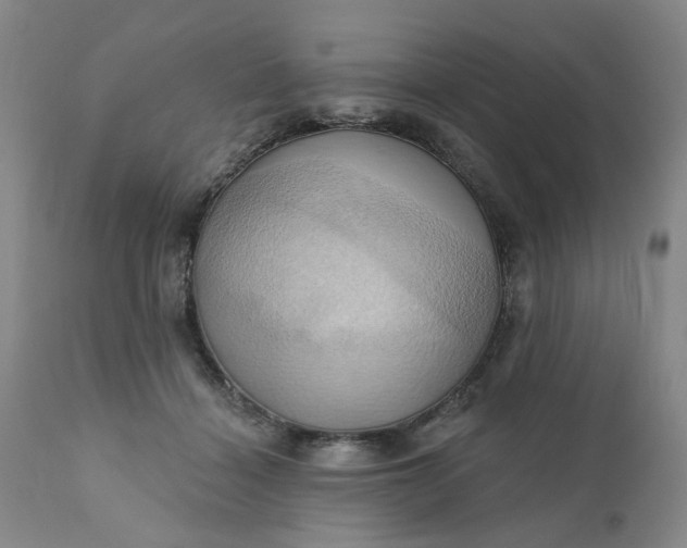 X0000110680460200906261324