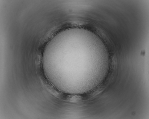 X0000110680463200906261324